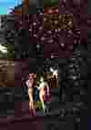 Poznanie dobra a zla