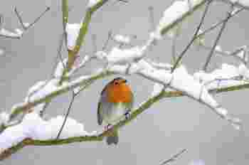 Otázka