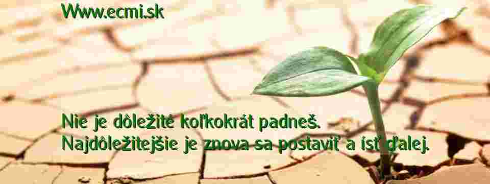 Ikonka stránky