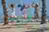 Maryy Martonová